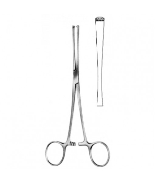 Intestinal & Stomach