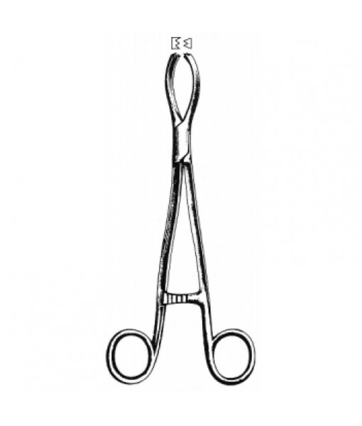 Intestinal & Stomach