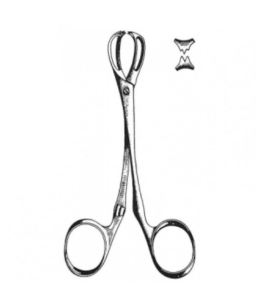 Intestinal & Stomach