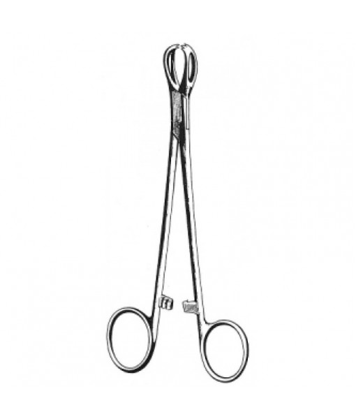 Intestinal & Stomach