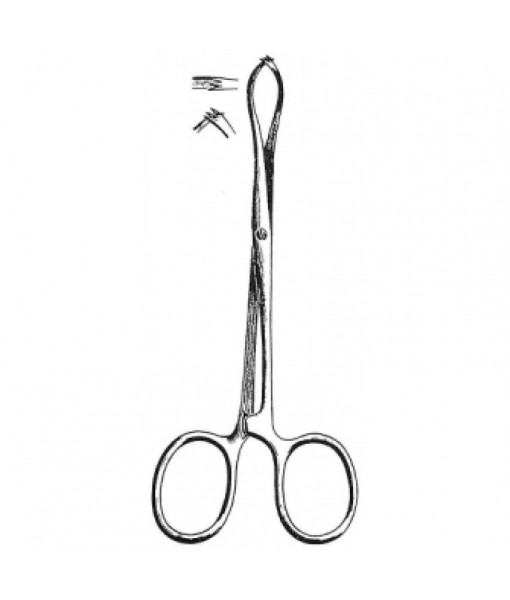 Intestinal & Stomach