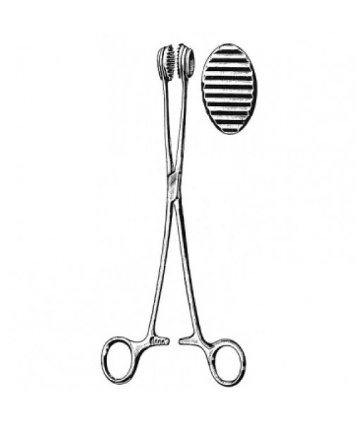 Intestinal & Stomach