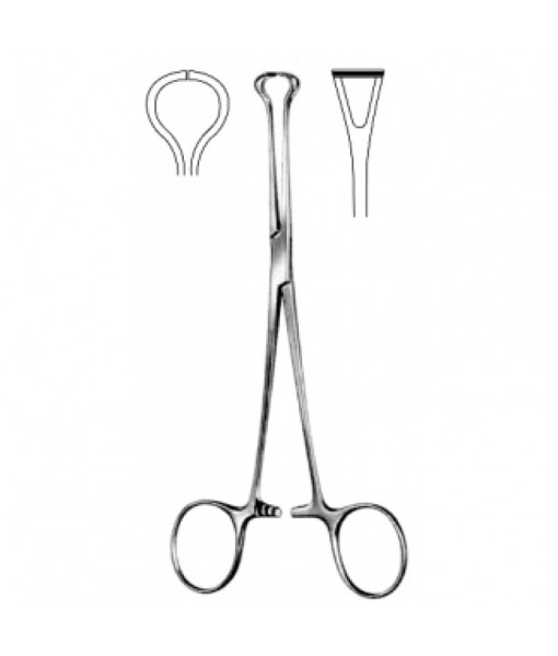 Intestinal & Stomach