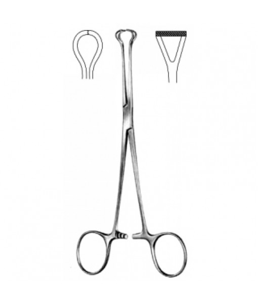 Intestinal & Stomach