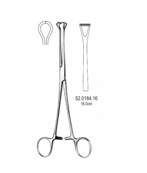 Intestinal & Stomach