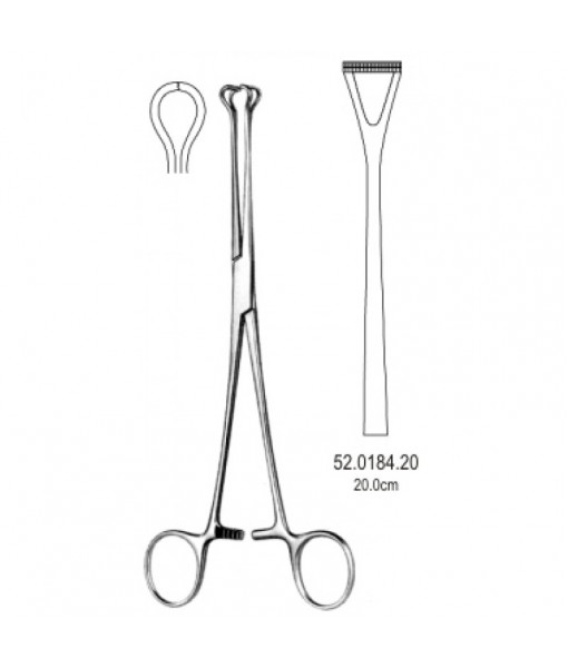 Intestinal & Stomach