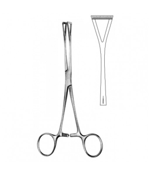 Intestinal & Stomach