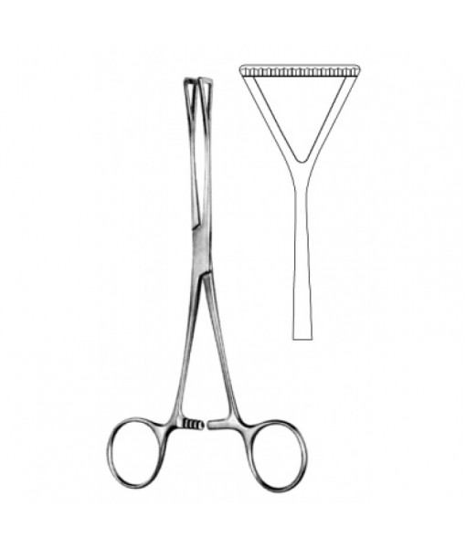 Intestinal & Stomach