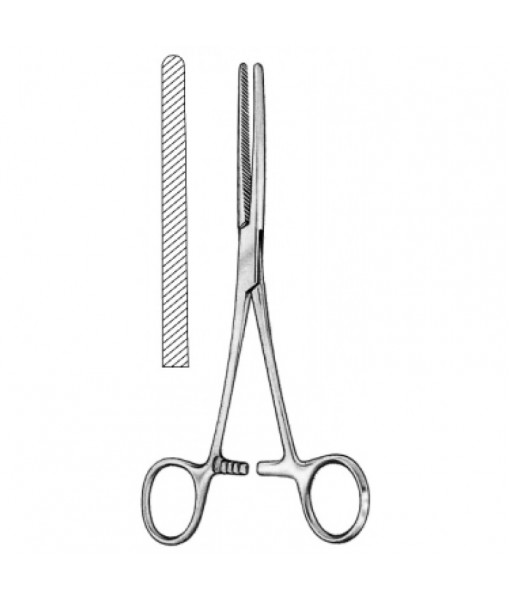 Intestinal & Stomach