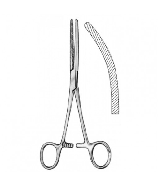 Intestinal & Stomach