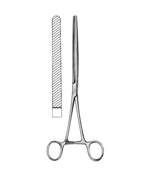 Intestinal & Stomach