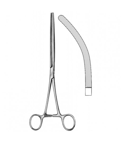 Intestinal & Stomach