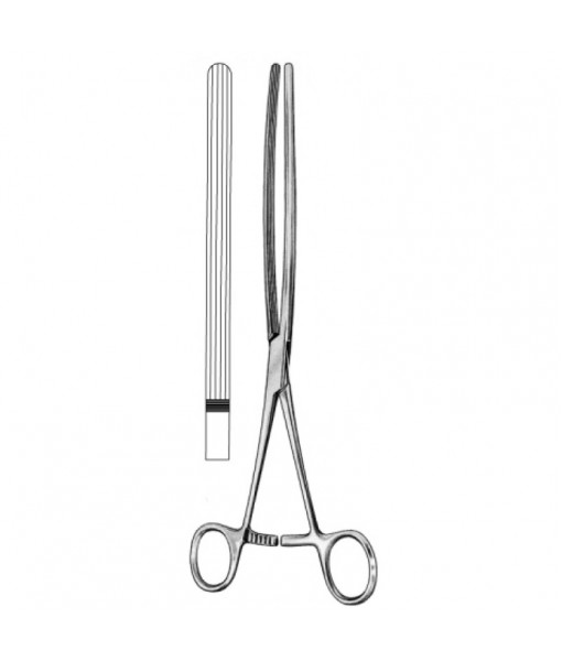 Intestinal & Stomach