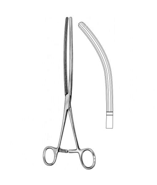 Intestinal & Stomach