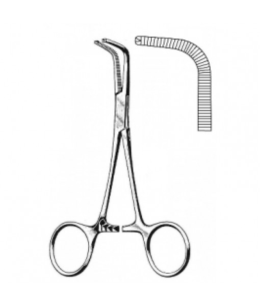 Intestinal & Stomach