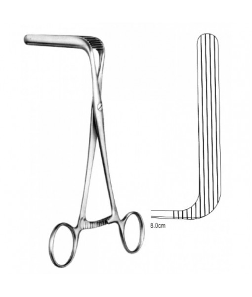 Intestinal & Stomach