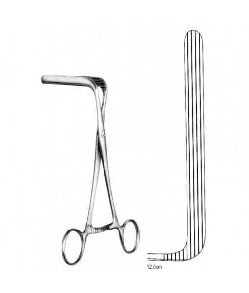 Intestinal & Stomach