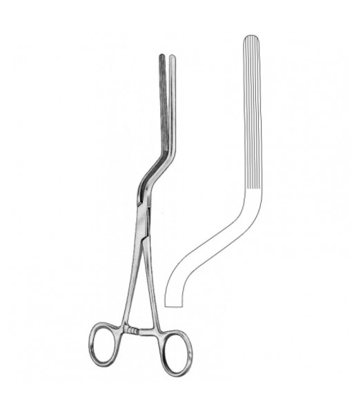 Intestinal & Stomach