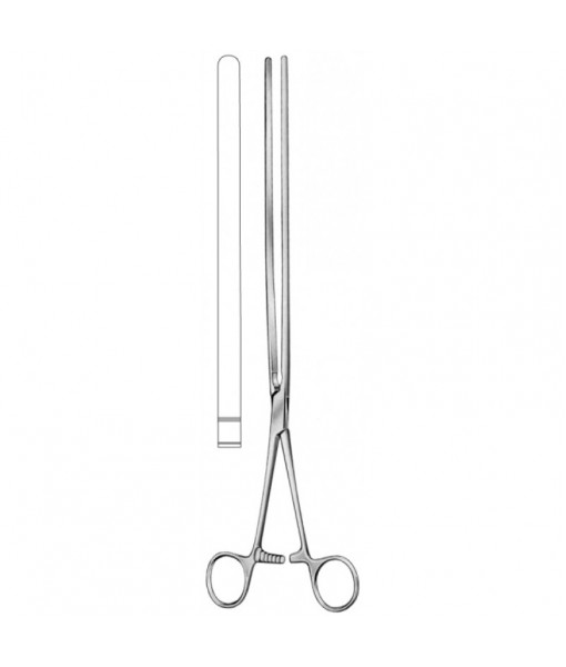 Intestinal & Stomach