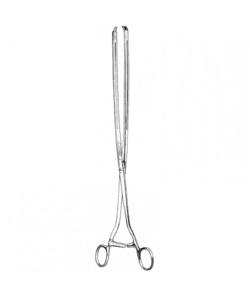 Intestinal & Stomach