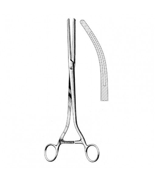 Intestinal & Stomach