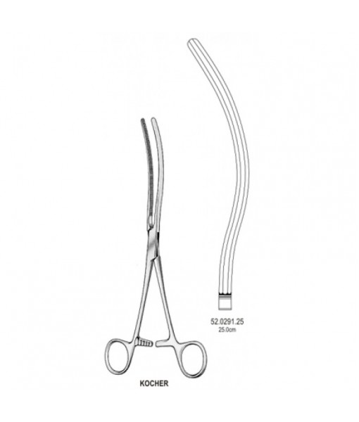 Intestinal & Stomach