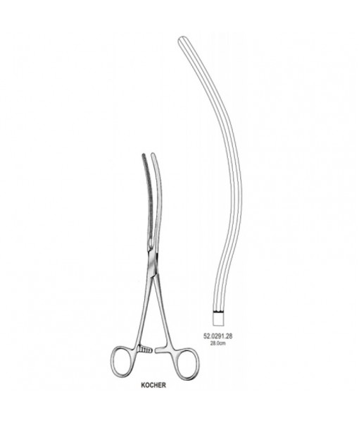 Intestinal & Stomach