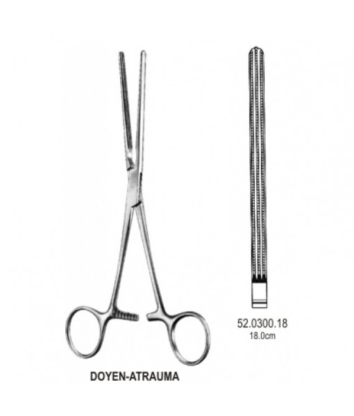 Intestinal & Stomach