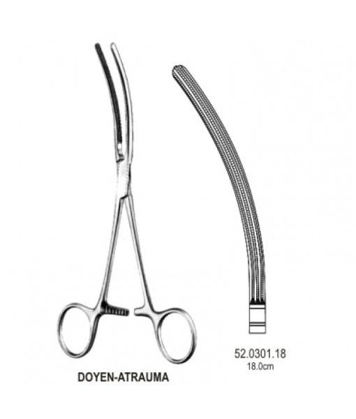 Intestinal & Stomach