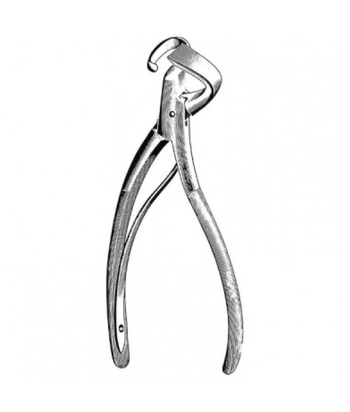 Thoracic & Lung Surgery