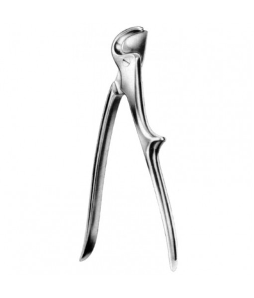 Thoracic & Lung Surgery