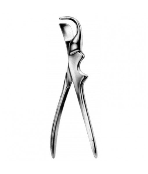 Thoracic & Lung Surgery