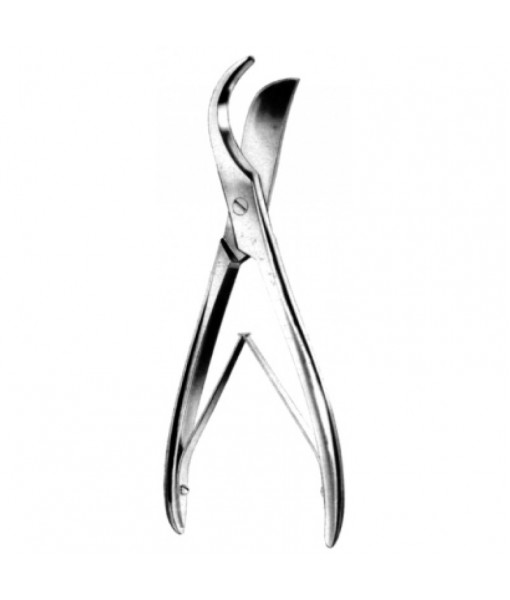 Thoracic & Lung Surgery