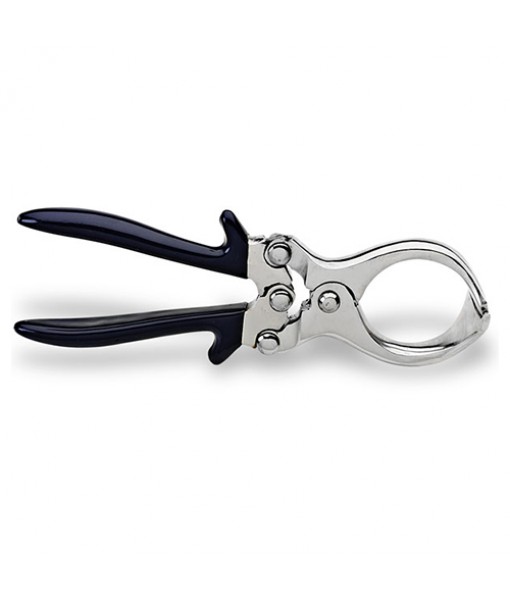 CASTRATION