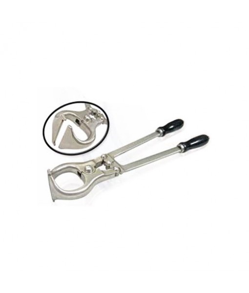 CASTRATION
