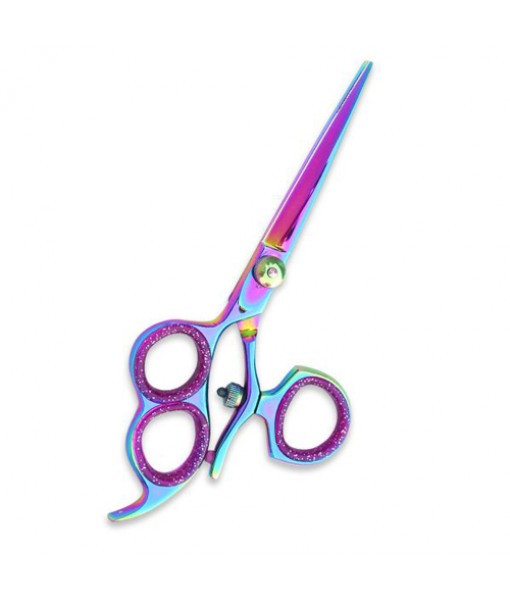 PROFESSIONAL HAIR CUTTING SCISSORS