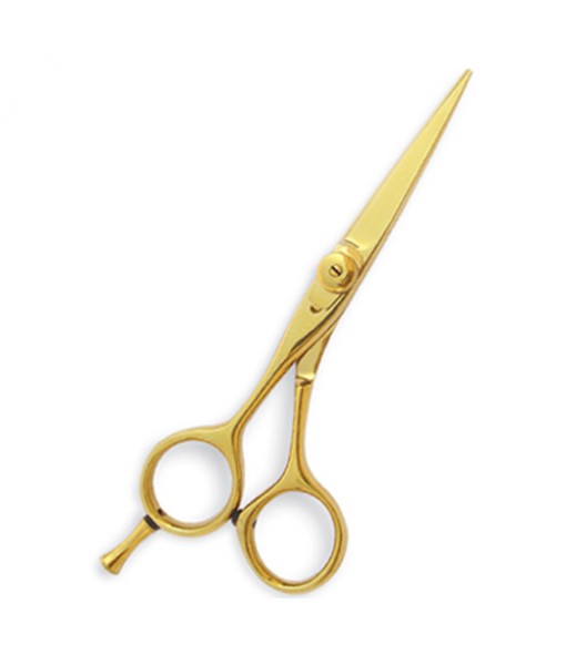 PROFESSIONAL HAIR CUTTING SCISSORS