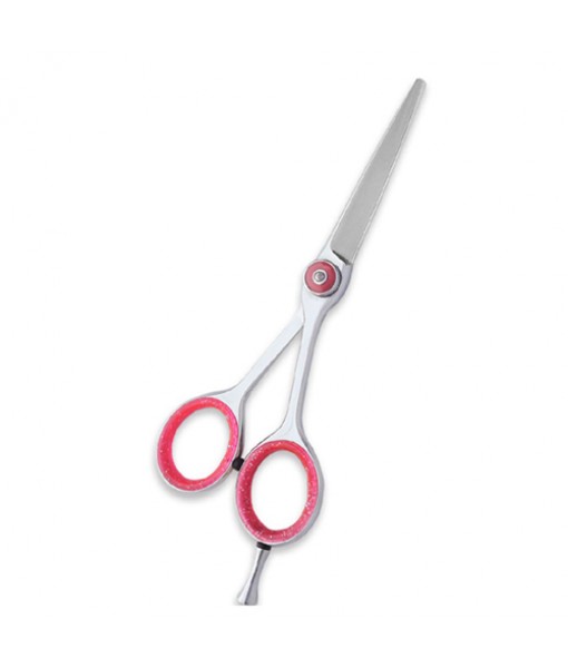 PROFESSIONAL HAIR CUTTING SCISSORS