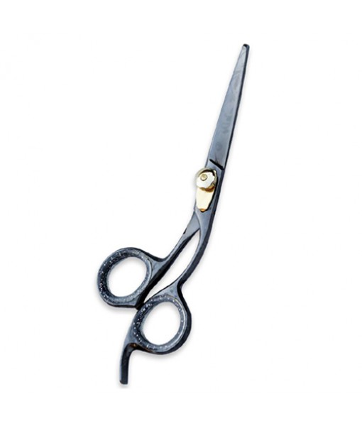 PROFESSIONAL HAIR CUTTING SCISSORS
