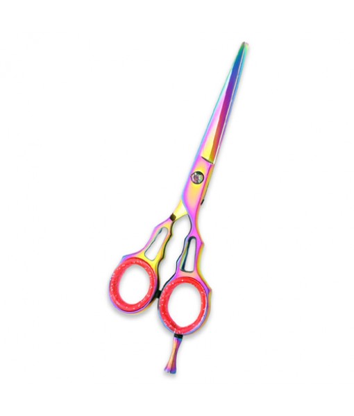 PROFESSIONAL HAIR CUTTING SCISSORS